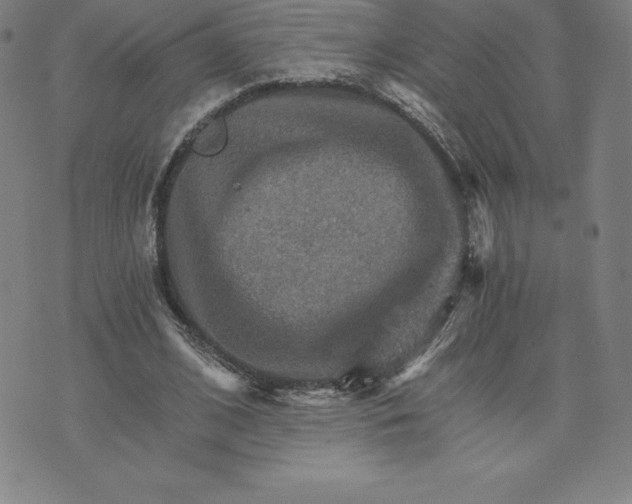 X0000074000584200609111600