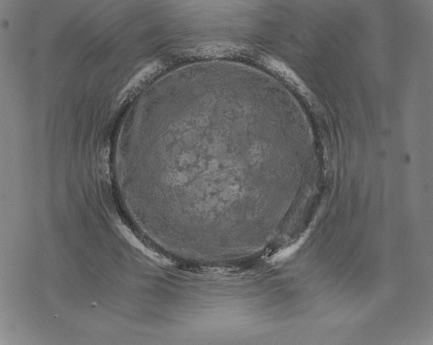 X0000074000585200609111600