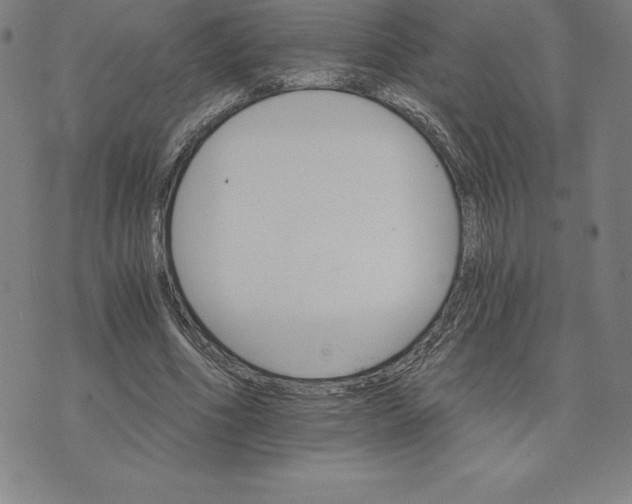 X0000074000586200609111600