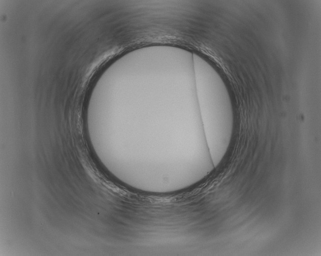 X0000074000587200609111600