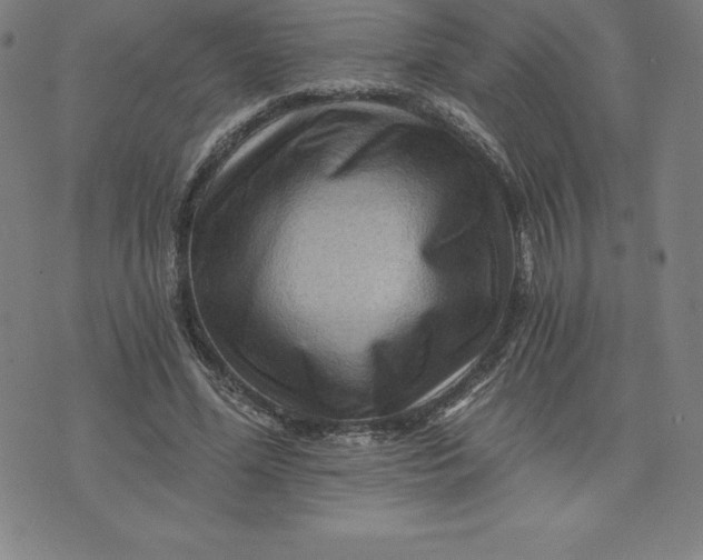 X0000074000588200609111600