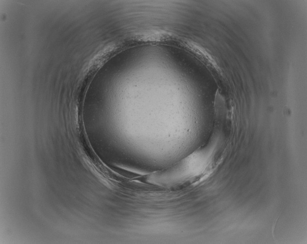 X0000074000589200609111600