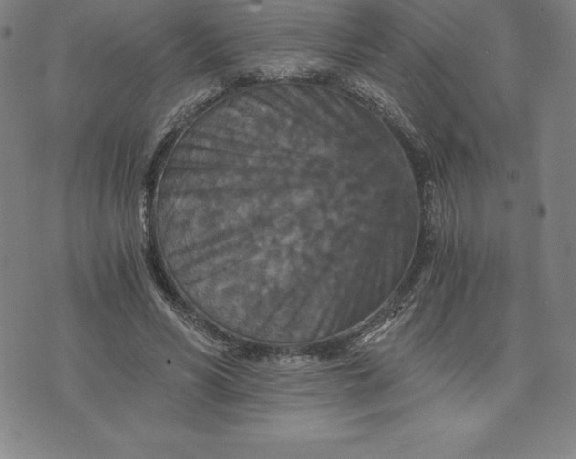 X0000074000590200609111600