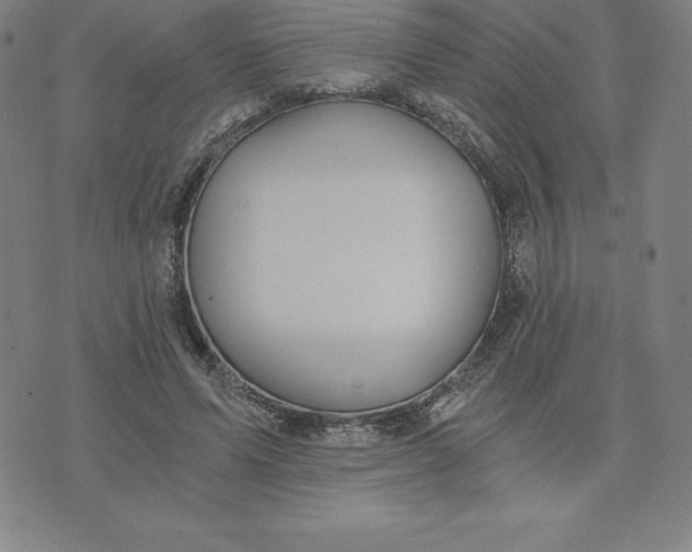 X0000074000591200609111600