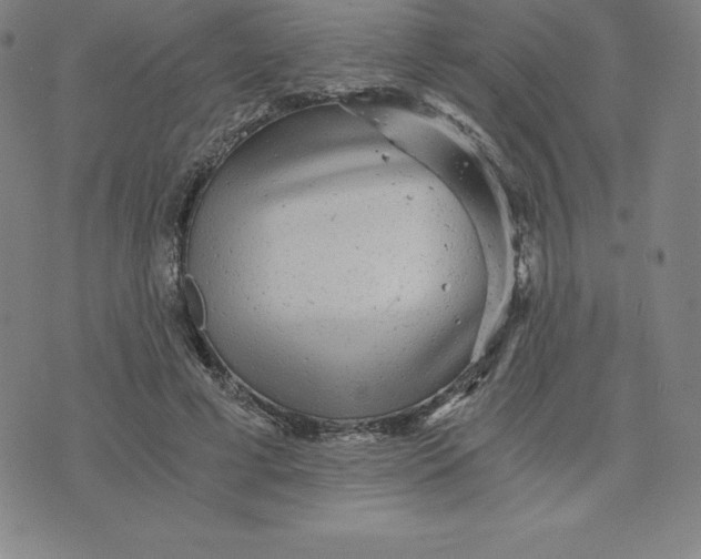 X0000074000593200609111600