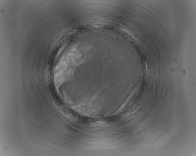 X0000074000594200609111600