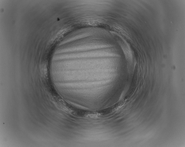 X0000074000595200609111600