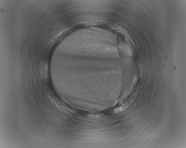 X0000074000596200609111600