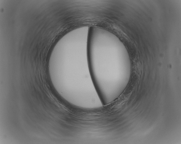 X0000074000597200609111600