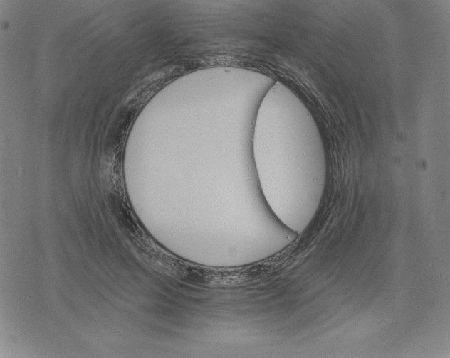 X0000074000599200609111600