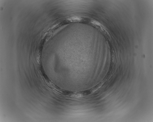 X0000074000604200609111600