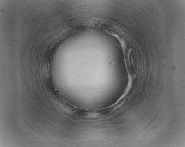 X0000074000605200609111600