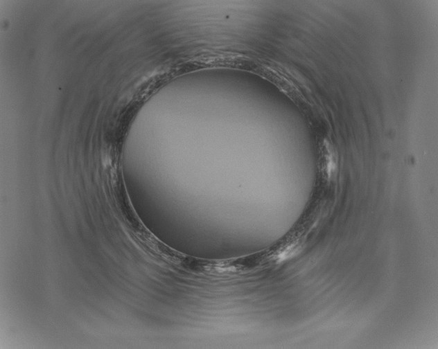 X0000074000607200609111600