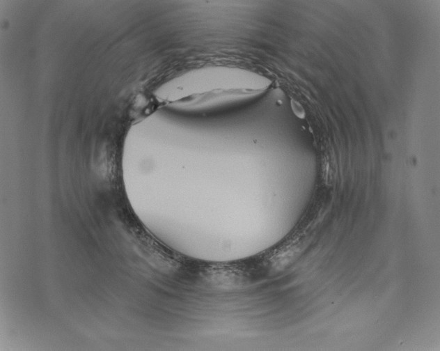 X0000074000608200609111600