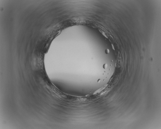 X0000074000609200609111600