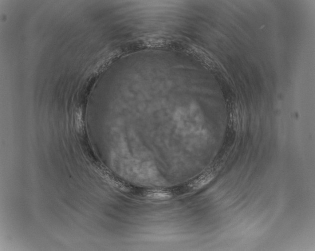 X0000074000610200609111600