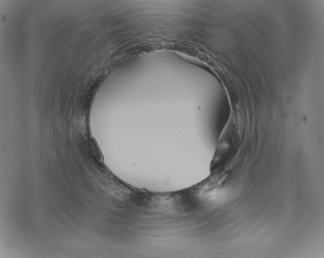 X0000074000613200609111600