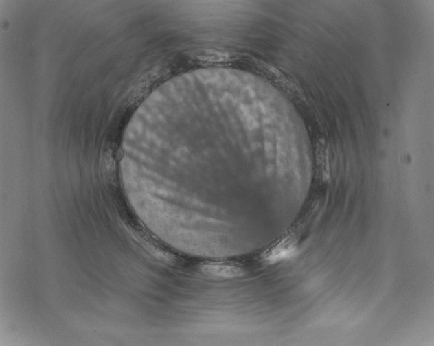 X0000074000614200609111600