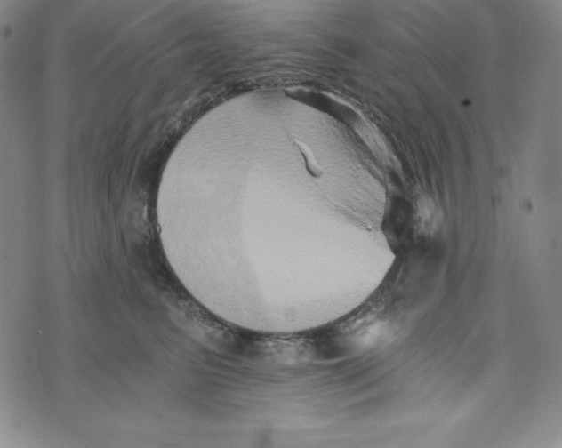 X0000074000615200609111600