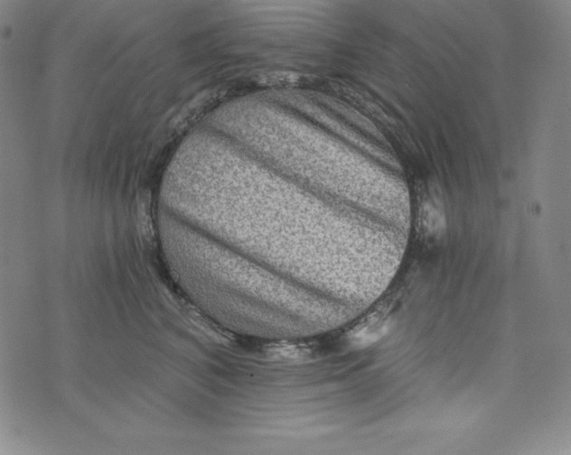 X0000074000616200609111600