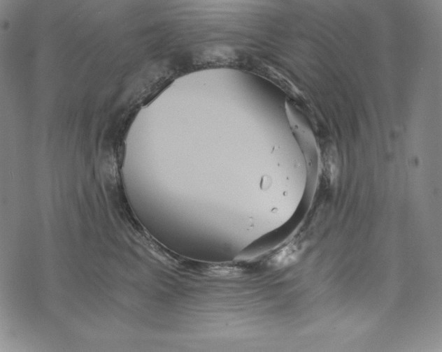 X0000074000617200609111600