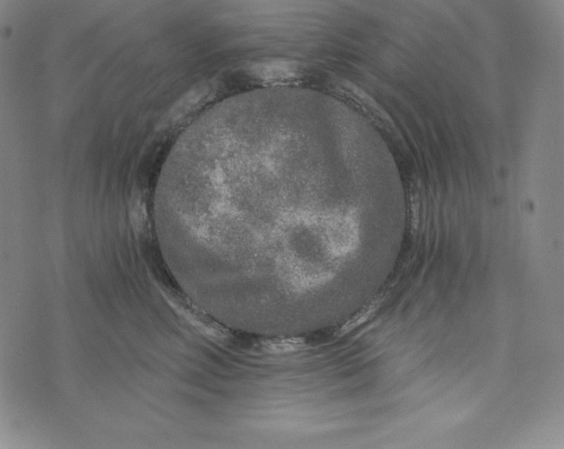 X0000074000618200609111600