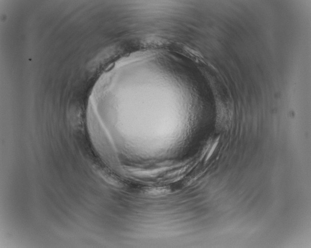 X0000074000619200609111600