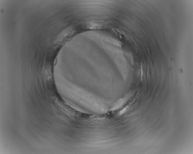 X0000074000620200609111600