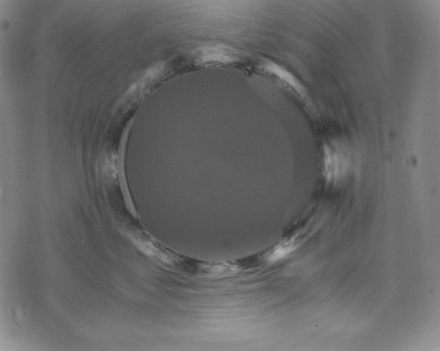 X0000074000621200609111600