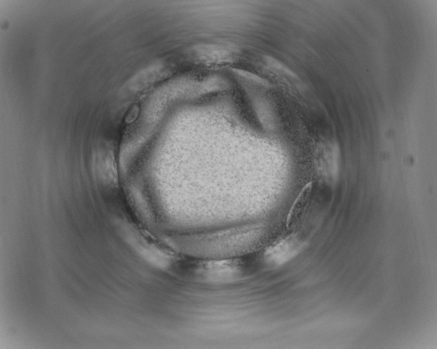 X0000074000622200609111600