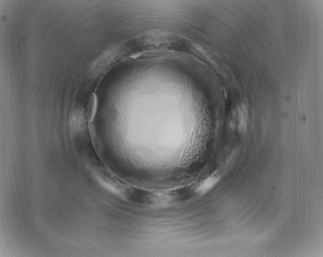 X0000074000623200609111600