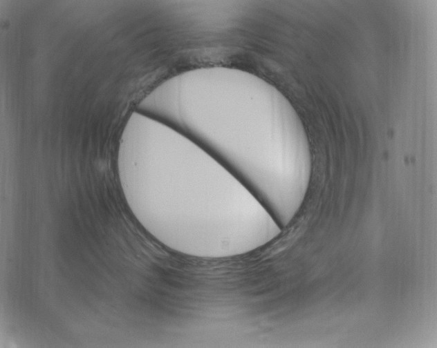 X0000074000624200609111600