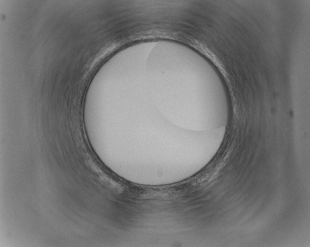 X0000074000625200609111559