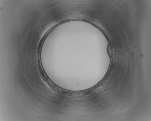 X0000074000626200609111559