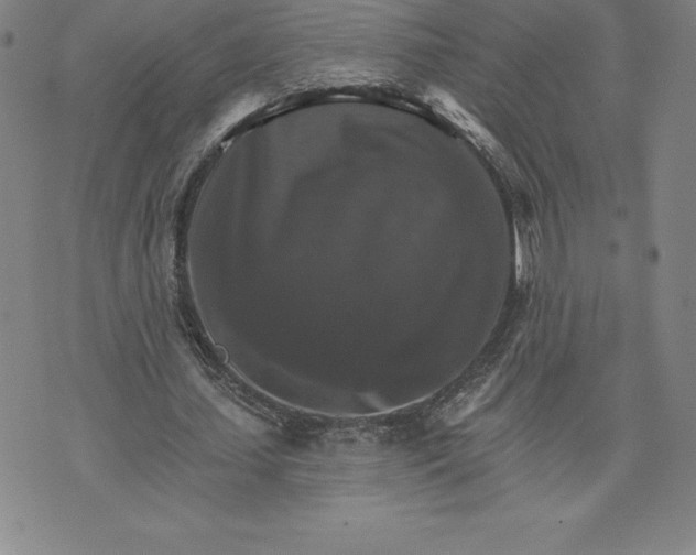 X0000074000627200609111559