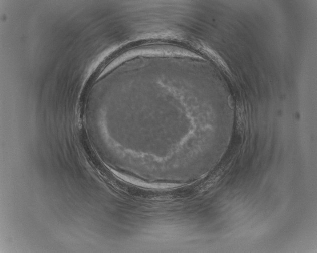 X0000074000628200609111559