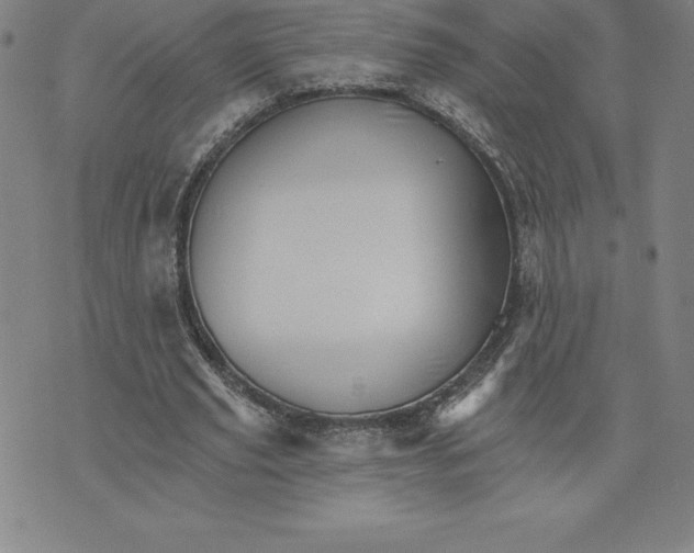 X0000074000629200609111559