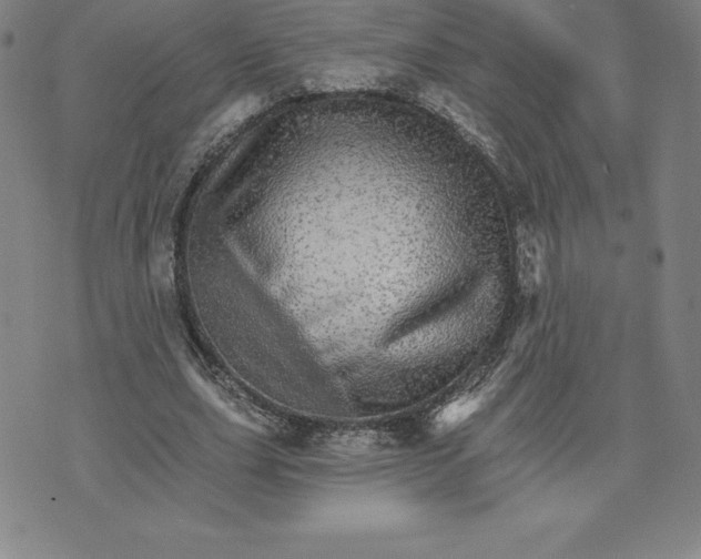 X0000074000631200609111559