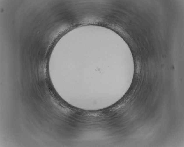 X0000074000632200609111559