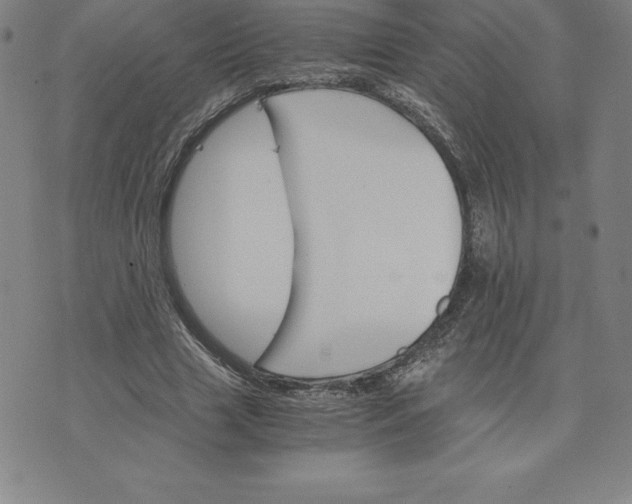 X0000074000633200609111559