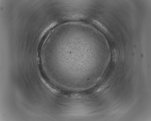 X0000074000634200609111559