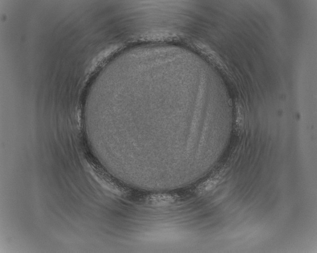 X0000074000636200609111559