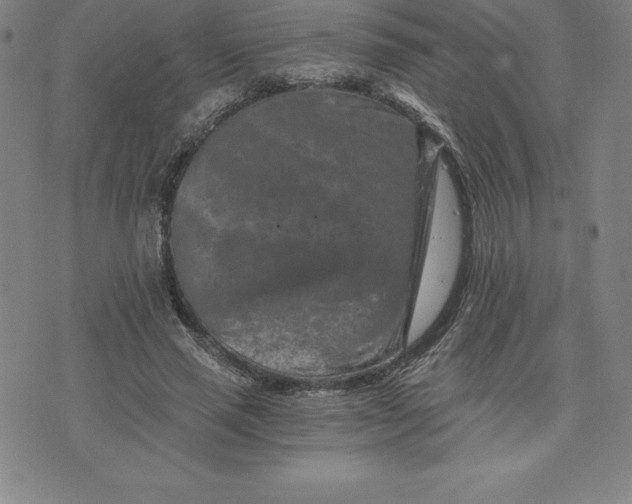 X0000074000637200609111559