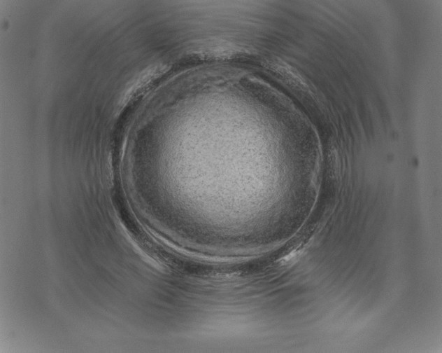 X0000074000638200609111559