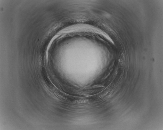 X0000074000639200609111559