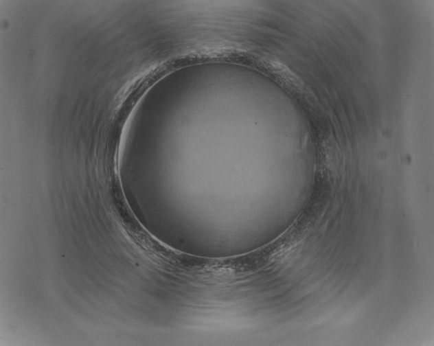 X0000074000640200609111559