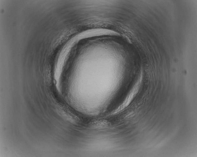 X0000074000642200609111559