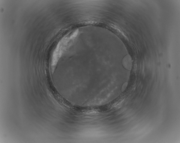 X0000074000643200609111559