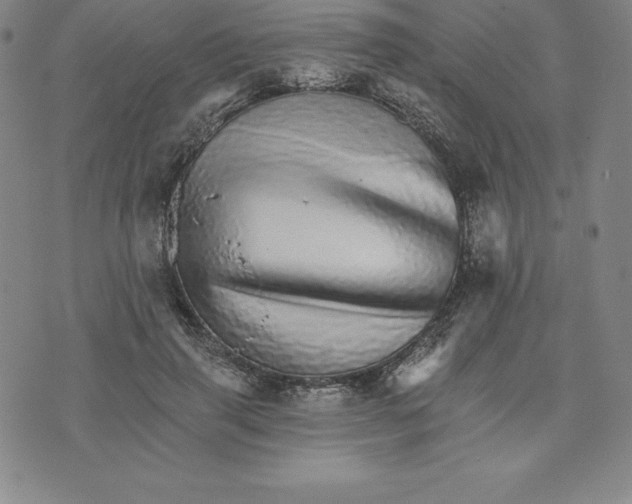 X0000074000645200609111559