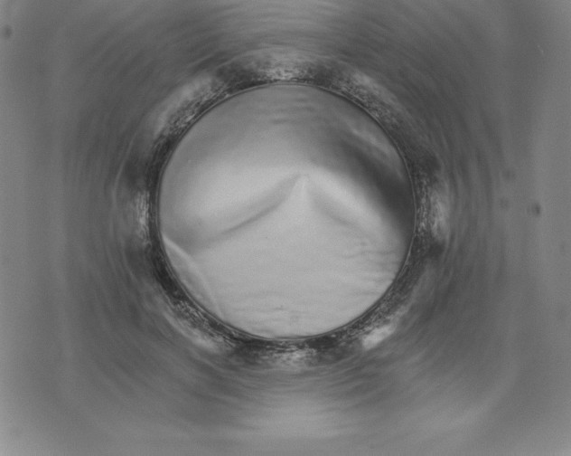 X0000074000646200609111559